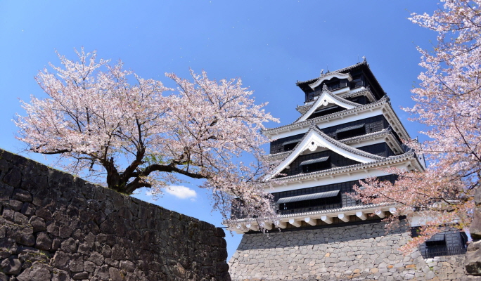 Kumamoto Castle Admission Ticket