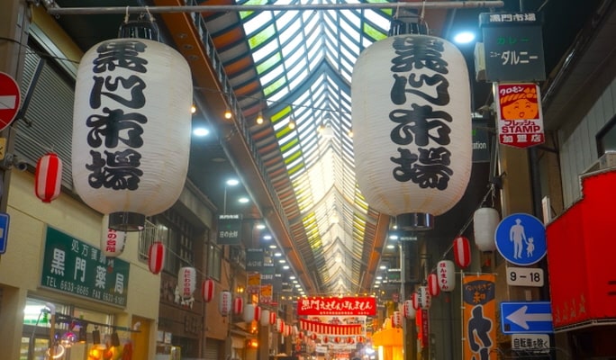 Osaka City 1 Day Tour with Private Van