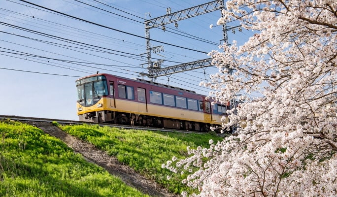 Kyoto-Osaka Sightseeing Pass (1 Day)