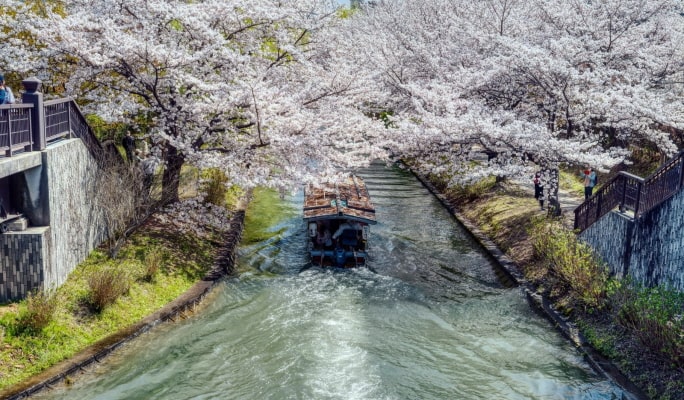 Kyoto-Osaka Sightseeing Pass (1 Day)