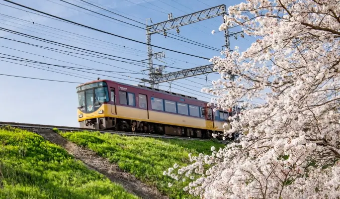 Kyoto Sightseeing Pass (24-hour Digital Ticket)