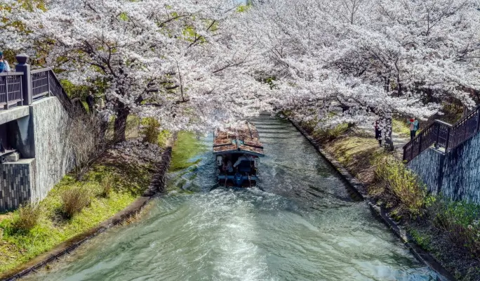 Kyoto Sightseeing Pass (24-hour Digital Ticket)