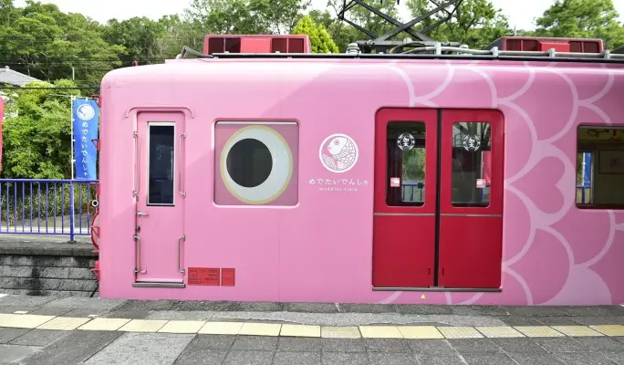 NANKAI ALL LINE 2 day Pass