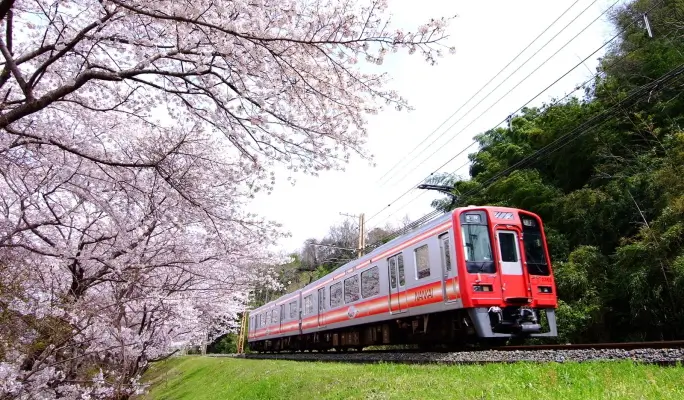NANKAI ALL LINE 2 day Pass
