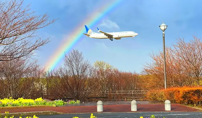 Narita Shinshoji + Sawara Town + Katori Shrine 1 Day Tour (+ Airport drop off option)