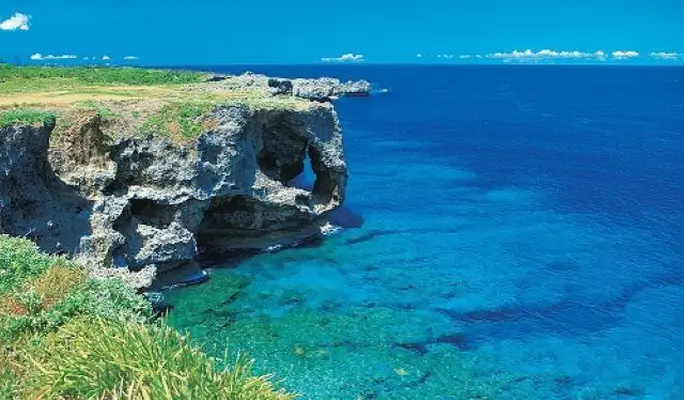 Regular Sightseeing Course B - Ocean Expo Park (Churaumi Aquarium) & Nakijin Castle Ruins