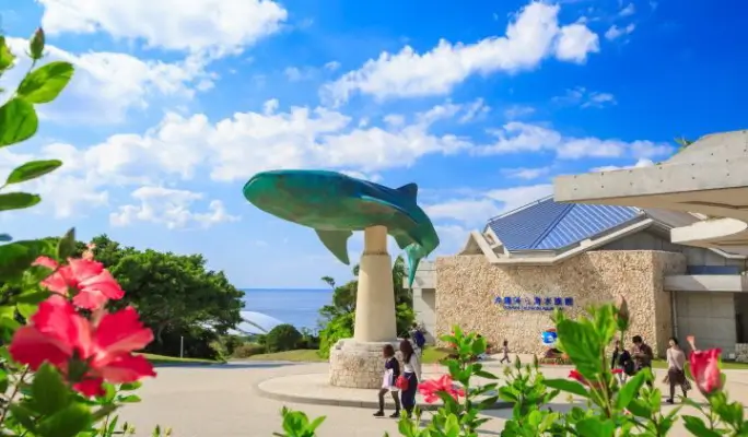 Regular Sightseeing Course B - Ocean Expo Park (Churaumi Aquarium) & Nakijin Castle Ruins