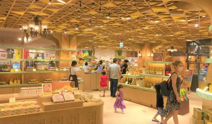 Regular Sightseeing Course B - Ocean Expo Park (Churaumi Aquarium) & Nakijin Castle Ruins