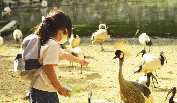Okinawa Neo Park Ticket ( + Okinawa Light Rail / Fureai Hiroba)