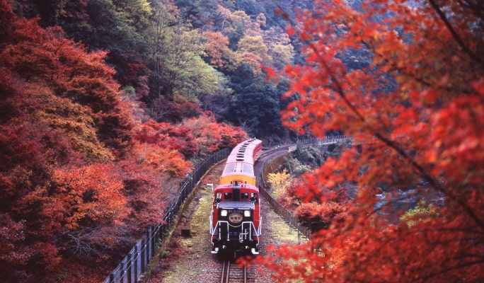 Kyoto OKOSHI Sightseeing Bus Tour