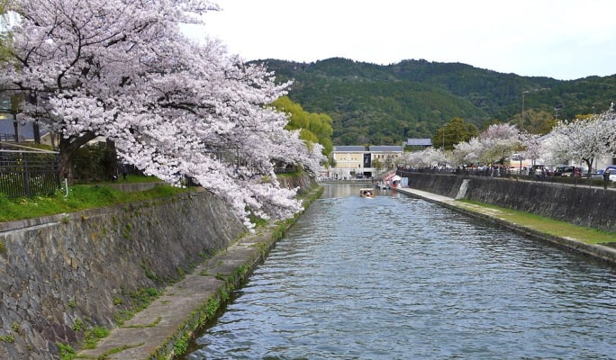 Kyoto OKOSHI Sightseeing Bus Tour