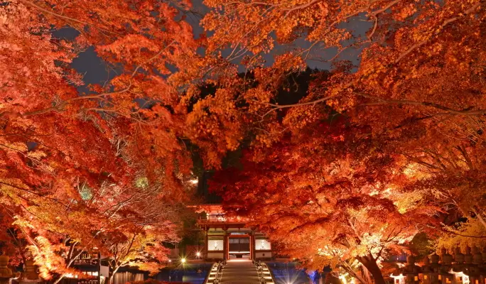Osaka Metro ＆ Kita-kyu Train Pass  (1-Day Pass)