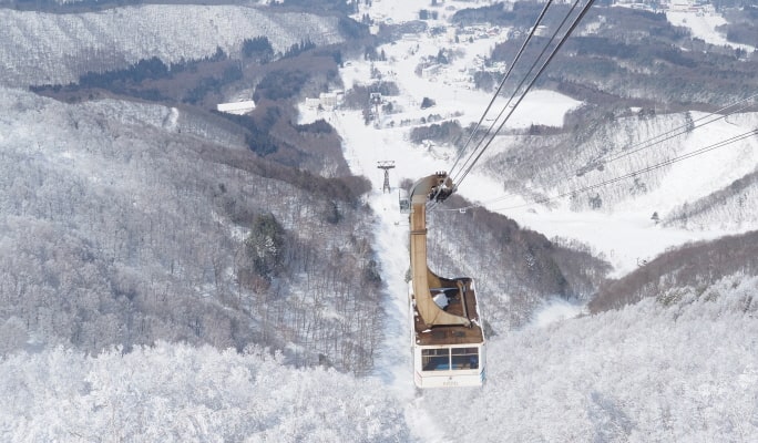 Ryuoo Ski Park 1-Day Ski/Snowboard Tour From Tokyo