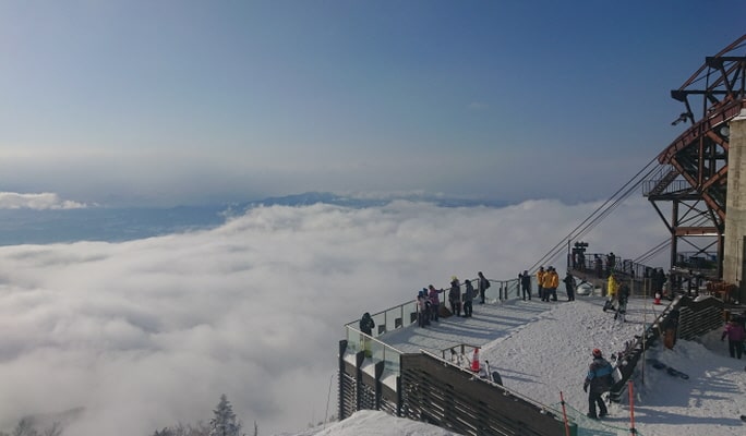 Ryuoo Ski Park 1-Day Ski/Snowboard Tour From Tokyo
