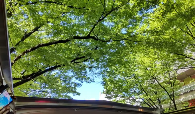 SHIBUYA STREET RIDE Sightseeing Bus Tour - Shibuya Connected Route