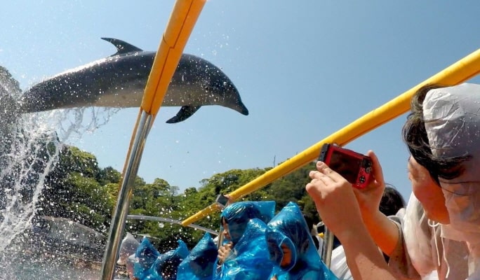 Shimoda Underwater Aquarium Ticket