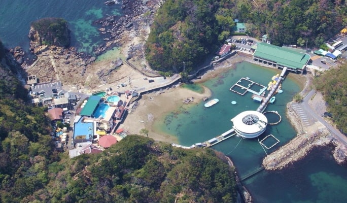 Shimoda Underwater Aquarium Ticket