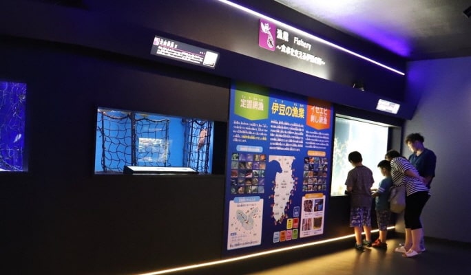 Shimoda Underwater Aquarium Ticket