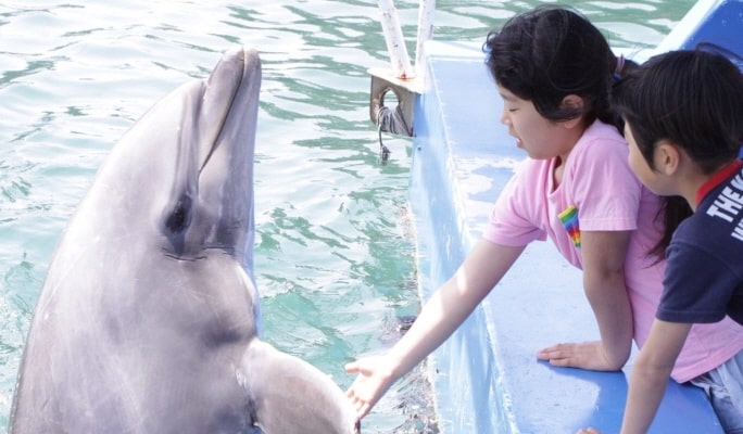 Shimoda Underwater Aquarium Ticket