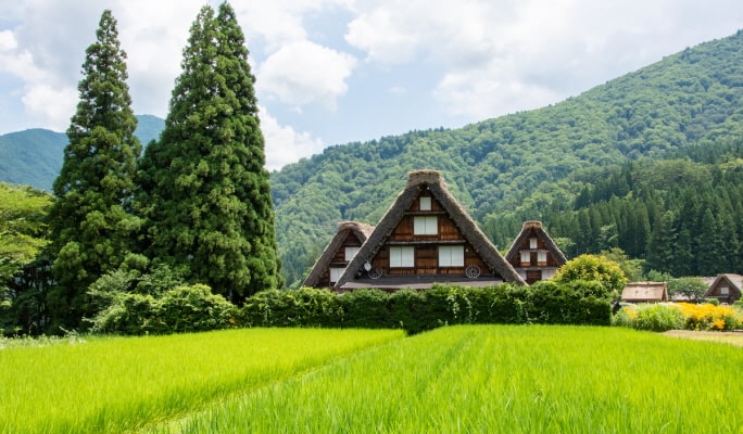 The World Heritage villages - Shirakawa-go & Gokayama Ainokura Tour