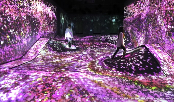 teamLab Forest Fukuoka Ticket
