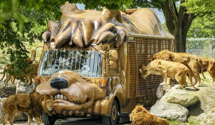 Yufuin & Kyushu Natural Animal Park & Beppu Jigoku 1-Day Tour from Fukuoka