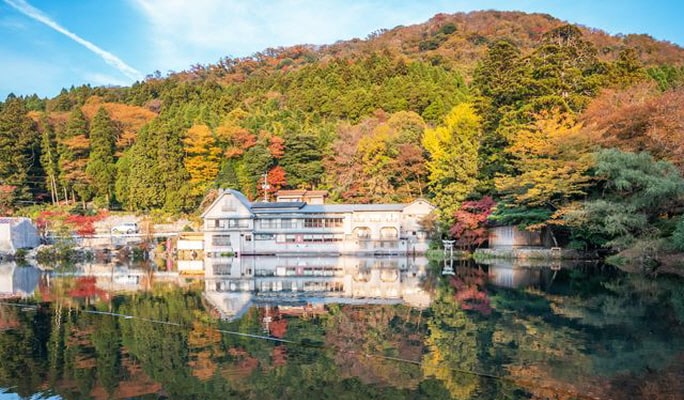 Yufuin & Kyushu Natural Animal Park & Beppu Jigoku 1-Day Tour from Fukuoka