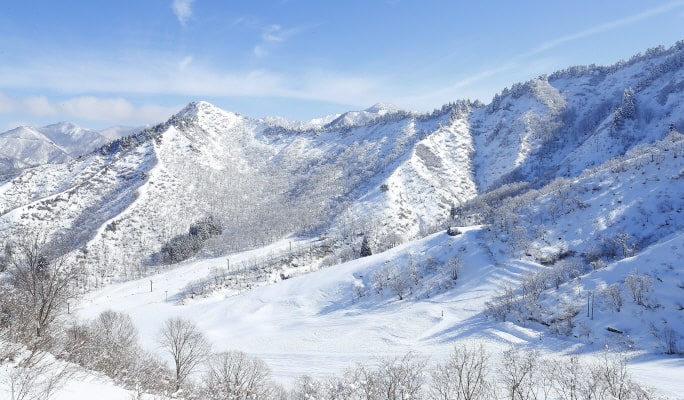 湯澤中里滑雪度假村１日纜車通票＋裝備 / 服裝租賃套餐