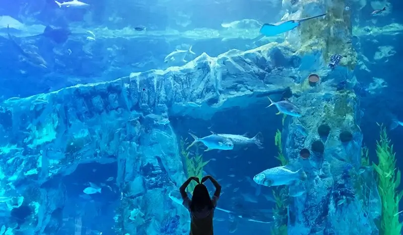 Lotte World Aquarium