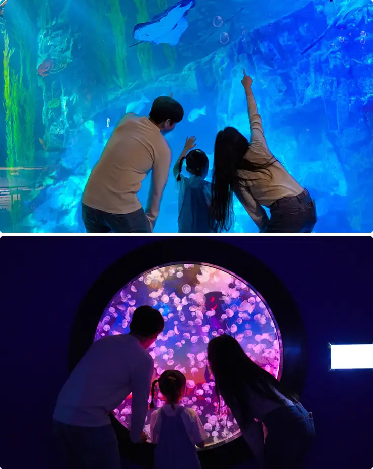 Family watching the main tank at Lotte World Aquarium.