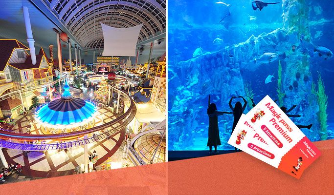 Lotte World 1 Day Pass + Lotte World Aquarium Combo Discount Ticket (+ Magic Pass Premium option)