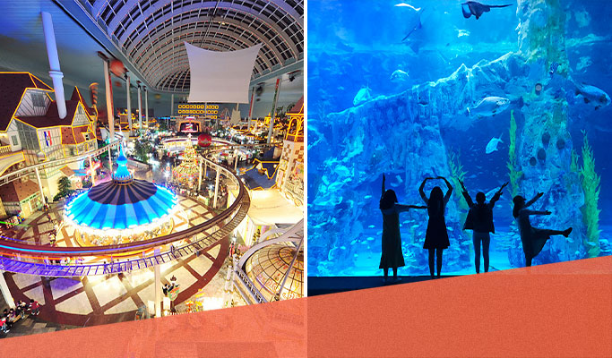 Lotte World 1 Day Pass + Lotte World Aquarium Combo Discount Ticket (+ Magic Pass Premium option)