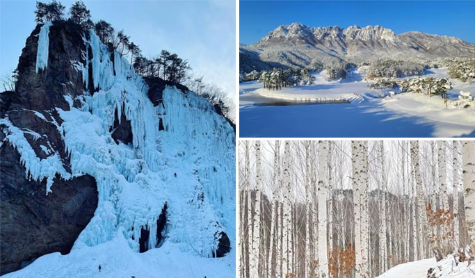 Winter Hiking: In-je Maebawi Icewall & Wondae-ri Birch Forest/ Seoraksan National Park 1 Day Tour (Dec 15~Feb 28)