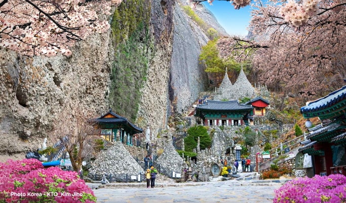 Spring Special: Jeonju Hanok Village & Gwangyang Plum Blossom/ Donghaksa Temple/ Maisan Mountain Cherry Blossom Festival - from Seoul (Mar 14~Apr 18)