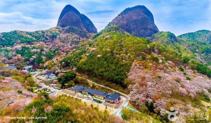 Spring Special: Jeonju Hanok Village & Gwangyang Plum Blossom/ Donghaksa Temple/ Maisan Mountain Cherry Blossom Festival - from Seoul (Mar 14~Apr 18)