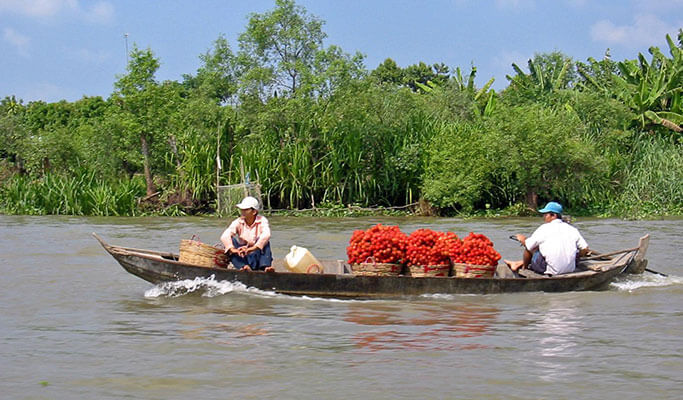 Mekong Delta (My Tho+Ben Tre+Can Tho) 2D1N Tour - from Ho Chi Minh City