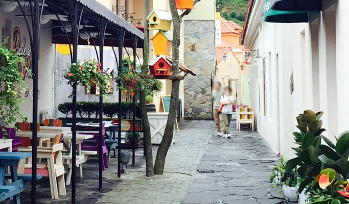 Damyang Bamboo Forest + Meta Provence Private Tour - from Seoul