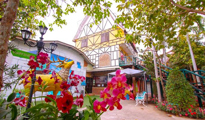 Mimosa Pattaya Discount Ticket + Mimosa Cabaret Show/Art in Mimosa