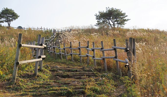 Mindungsan Mountain Silver Grass Festival 1 Day Hiking Tour by Train - from Seoul (Sep 21~Nov 9)