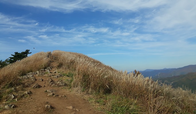 Mindungsan Mountain Silver Grass Festival 1 Day Hiking Tour by Train - from Seoul (Sep 21~Nov 9)