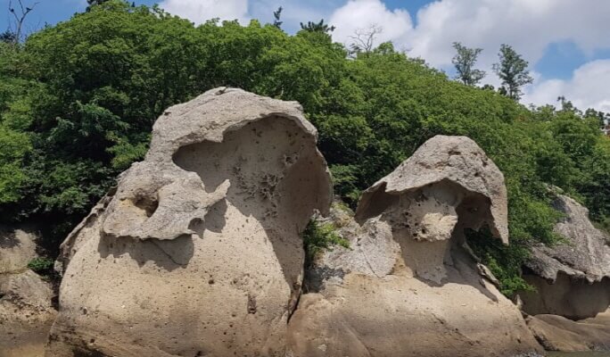 Mokpo & Sinan Getbol 1 Day Tour from Daegu