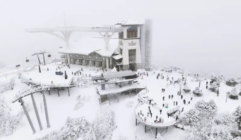 Yongpyong Ski Resort Helmet Rental - view 2