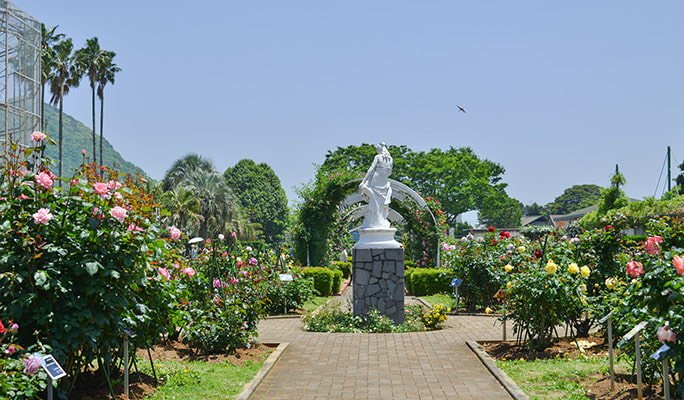 Mori Kirara: Kujushima Zoo & Botanical Garden Discount Ticket