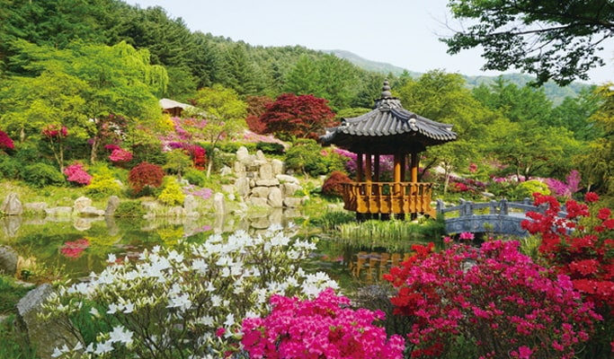 Alpaca World + Nami Island + Garden of Morning Calm 1 Day Tour (with Optional Rail Bike or  Strawberry Picking) - from Seoul