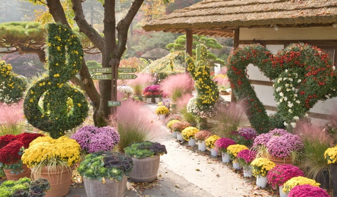 Nami Island + Garden of Morning Calm (+ Rail Bike/ Strawberry Picking option) 1 Day Tour - from Seoul