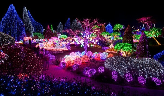 2018 Hwacheon Sancheoneo Ice Festival & Garden of Morning Calm Light Festival 1 Day Tour (Jan 10 & 13)