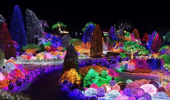 Hwacheon Sancheoneo Ice Festival 2018 & Garden of Morning Calm - Trazy