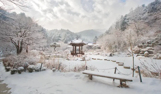 Nami Island + Eobi Ice Valley + Strawberry Picking 1 Day Tour from Seoul (+ Garden of Morning Calm/ Rail Bike options)