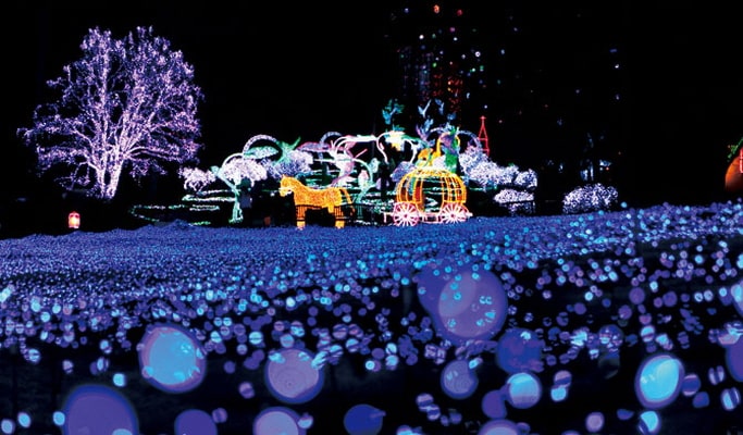 Elysian Gangchon Ski Resort: All-Inclusive Private 1 Day Tour (+ Nami Island/Garden of Morning Calm options) - from Seoul