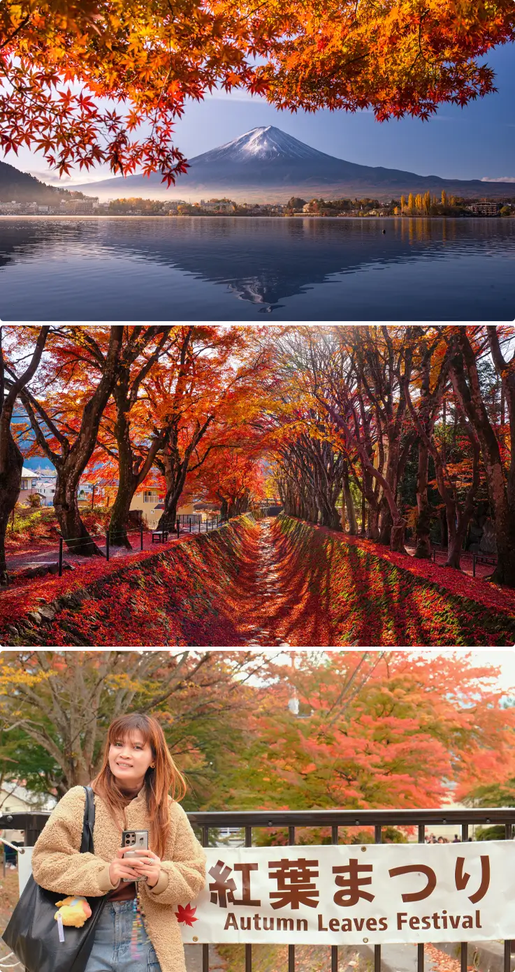 Autumn foliage with Mt. Fuji in the background at Nashi River near Lake Kawaguchi on top, a tunnel of autumn leaves in the middle, and a visitor taking photos at the Autumn Leaves Festival on the bottom.